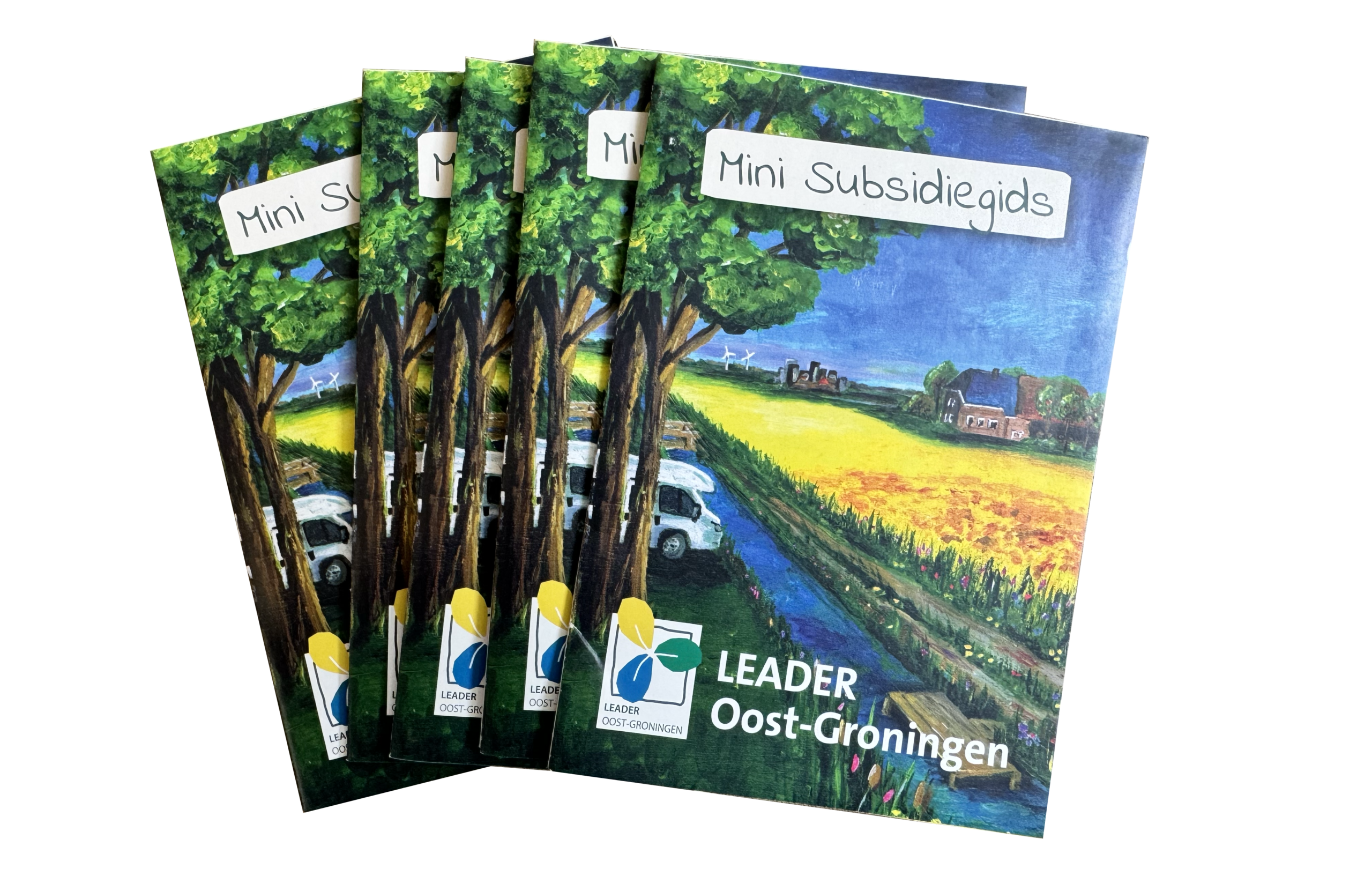 LEADER Lokale ontwikkelingsstrategie ontwerp door JantyDesign