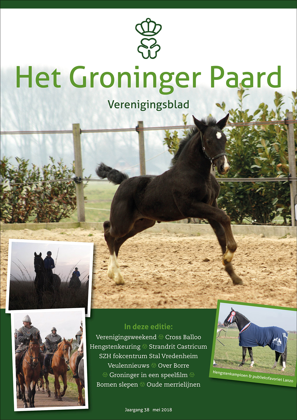 Ontwerp cover verenigingsblad Het Groninger Paard, ontwerp door JantyDesign